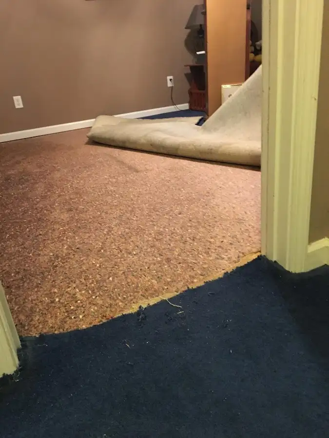 Carpet pad removal revealing water damage during Water Mitigation Services in Belfast