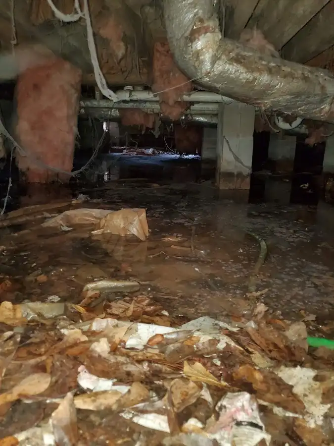 Crawl space flood assessment for Leak Detection & Repair in Belfast