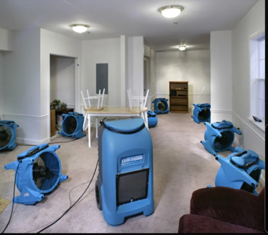 Air movers and dehumidifier setup for Water Extraction & Removal in Belfast